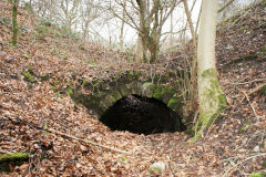 Lasgarn Quarry Southern tunnel, March 2009